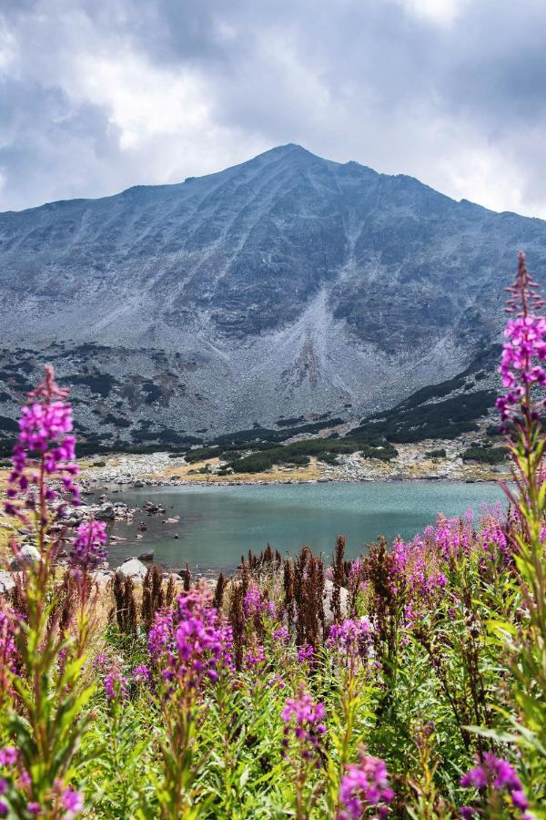 Borovets Gardens B30 Morunov Apart Dış mekan fotoğraf